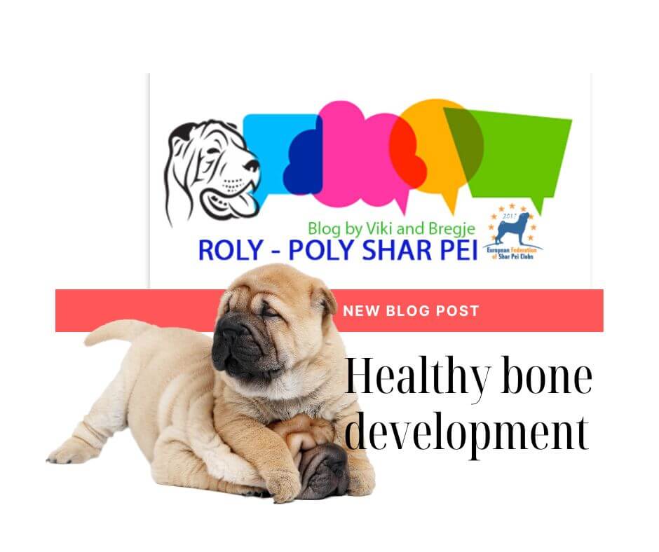 healthy-bone-development
