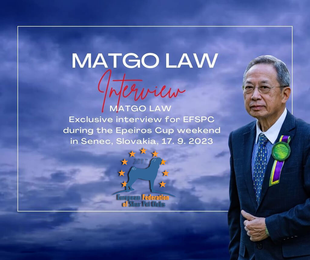 Matgo Law interview